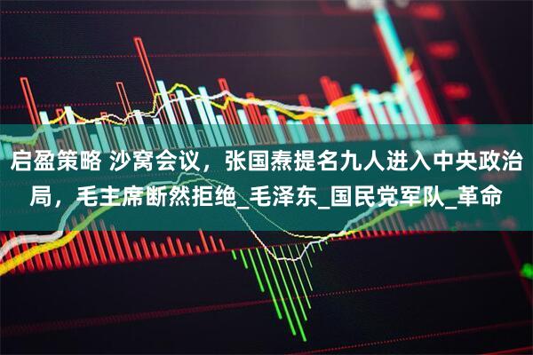 启盈策略 沙窝会议，张国焘提名九人进入中央政治局，毛主席断然拒绝_毛泽东_国民党军队_革命