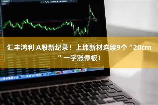 汇丰鸿利 A股新纪录！上纬新材连续9个“20cm”一字涨停板！