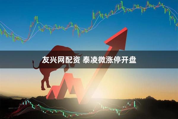 友兴网配资 泰凌微涨停开盘