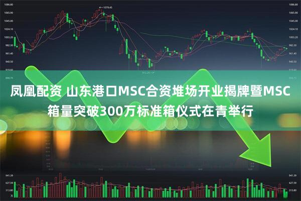 凤凰配资 山东港口MSC合资堆场开业揭牌暨MSC箱量突破300万标准箱仪式在青举行
